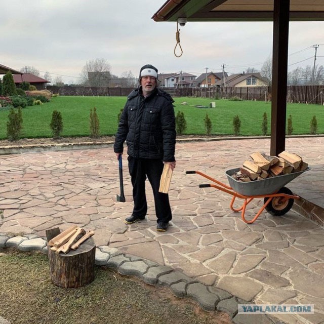 Дровишки в баню или "Гоблин" Пучков попал на фотожабу