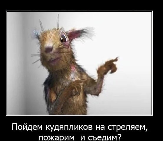 Житель небольшого якутского поселка расстрелял сегодня свою кухню