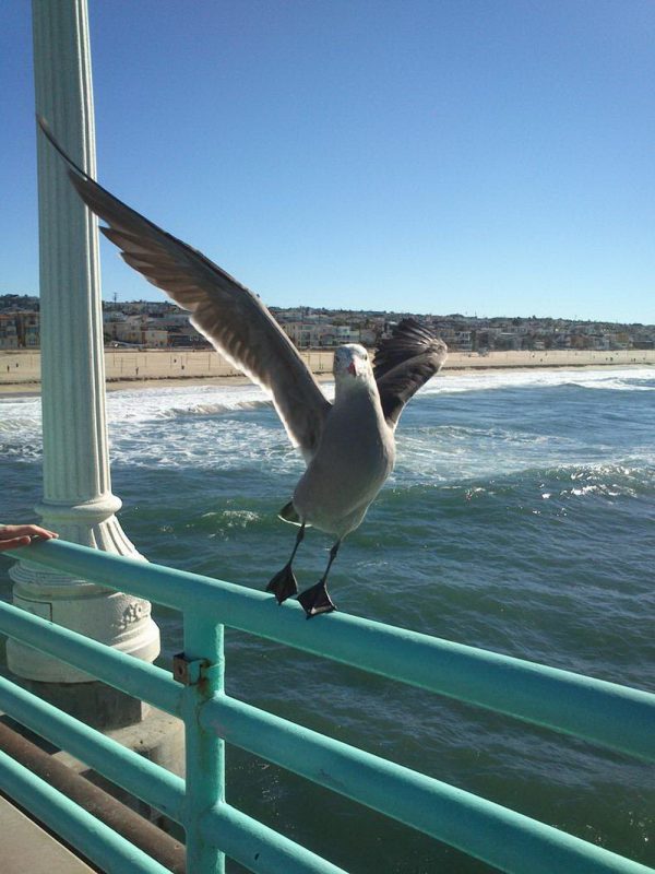 Удачный кадр. Фотопост