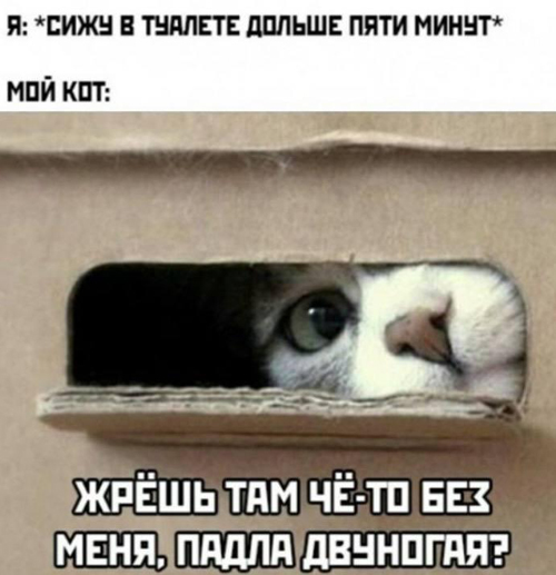 Баянисто-небаянистый юмор 15.05.21