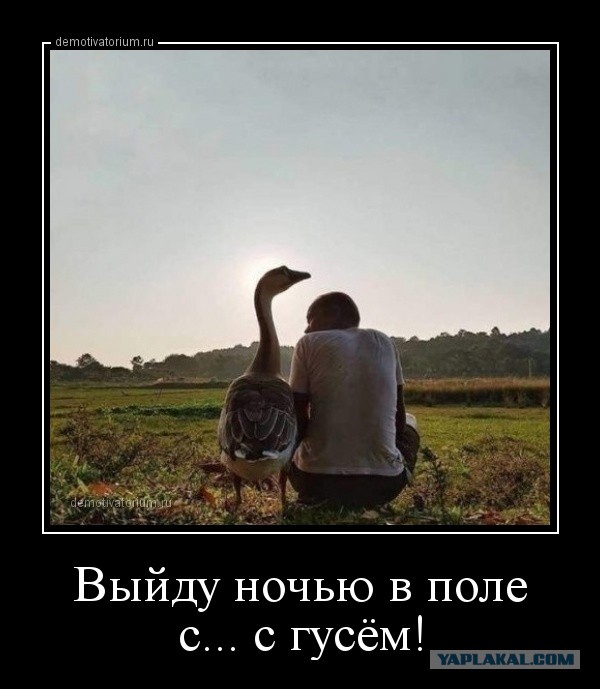 Чем современная девушка отличается от проститутки?