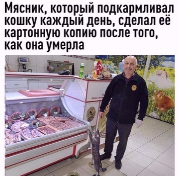 Картинки и мемы для настроения 04.08.2021