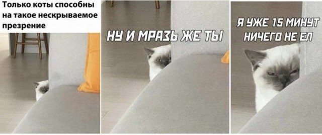 Картинки и мемы для настроения 14.08.2021