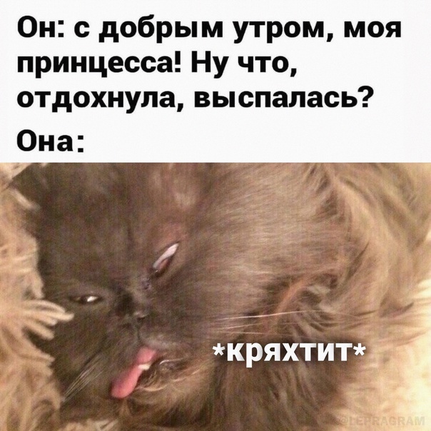 Картиног подвезли