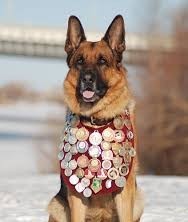 Орденоносец