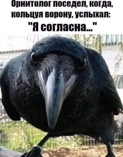 Картинки и мемы, всем хороших выходных