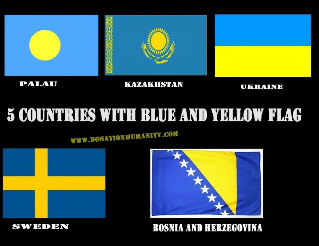 Флаг с цветами синий желтый