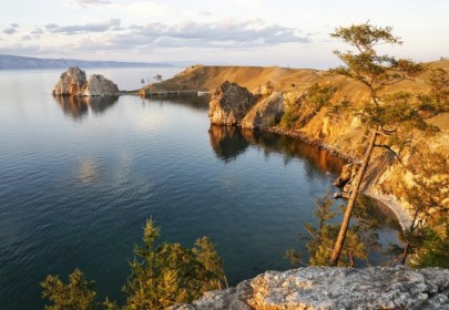 Пандемия съехавших крыш - разновидности болезни. Россия и мир. Часть 38