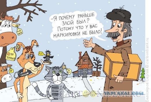 Деньги на несчастье людей