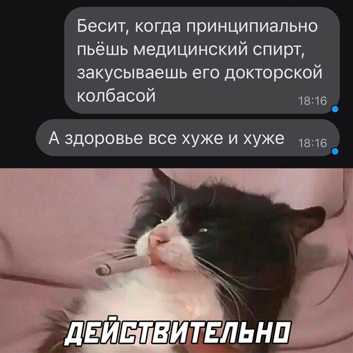 Картинки и мемы. Выходные близко...