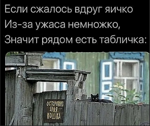 Картинки и мемы. Выходные близко...