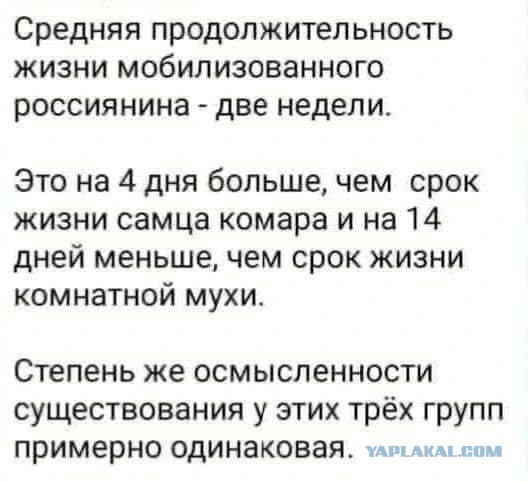 Передовая, тюрьма или плен: матери и жены мобилизованных свердловчан добились встречи с представителем ЦВО
