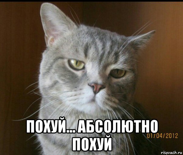У нас других рож нет? Их опять покажут в НГ ночь