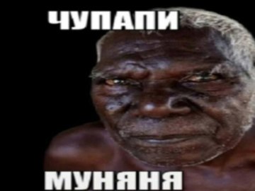 «Кто украл кошелёк»