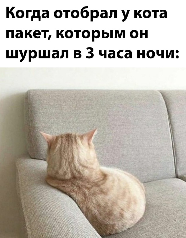Немного картинок для настроения - 161