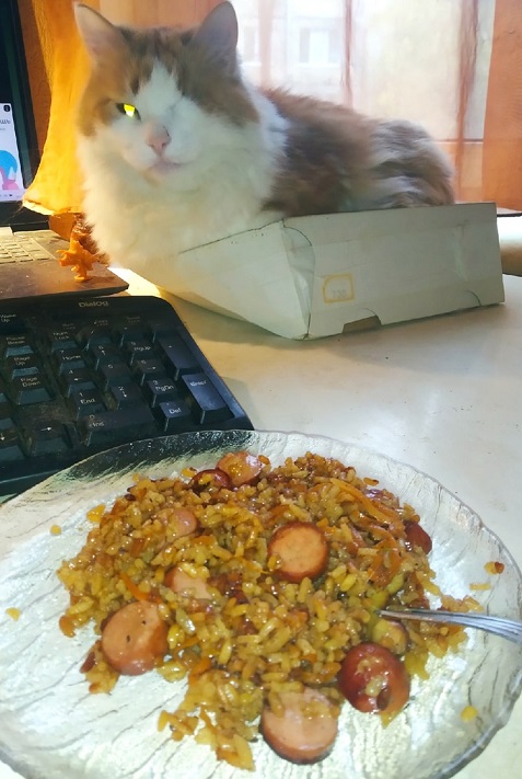 Победная поступь идиотизма по планете – том 13