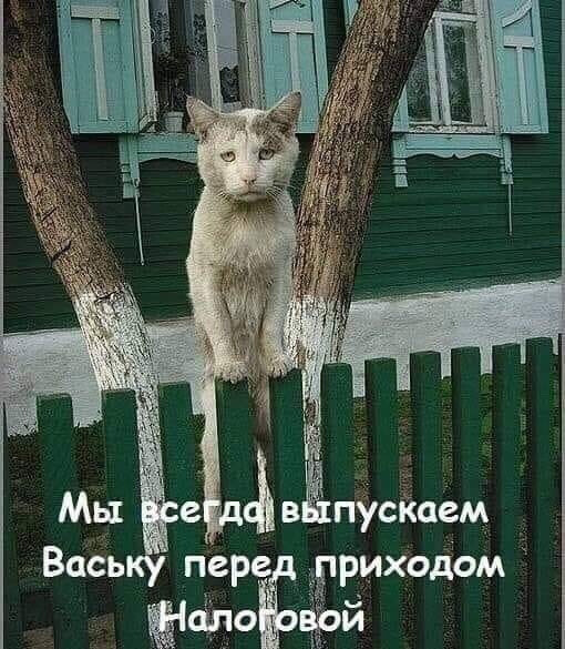Девятая подборка самых баянистых баянов! Ностальгируем...