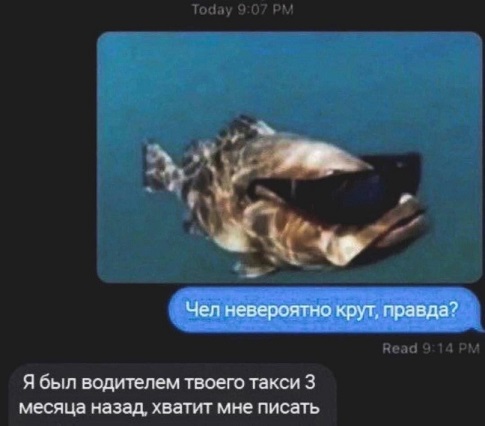 Папа, покажи оленя