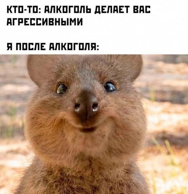 Весёлый полтишок 04.03.24