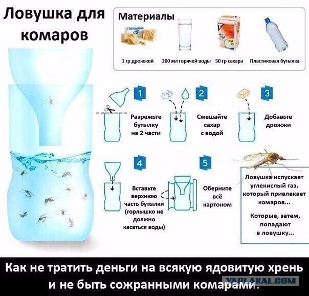 Действительно