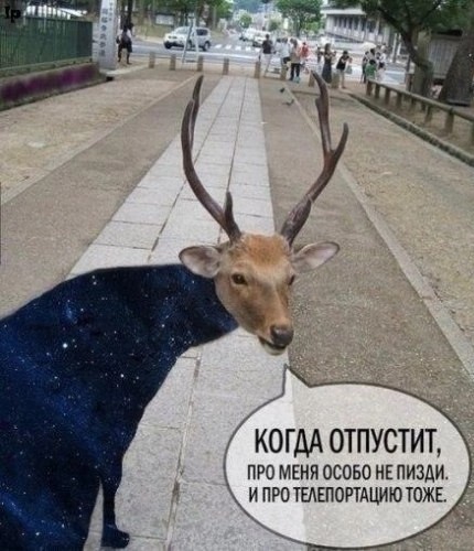 Немного наркомании и шизофрении в ленту