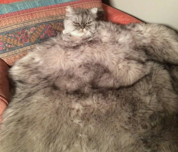 Закусить в СССР