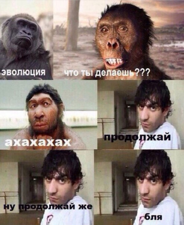 Приглашаю похандрить под баяны