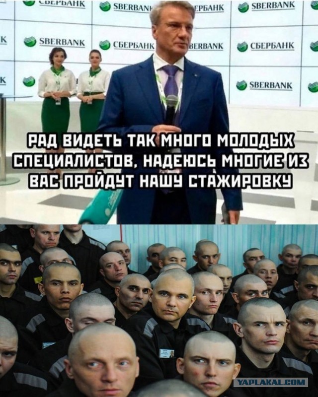 Очередное разводилово по телефону
