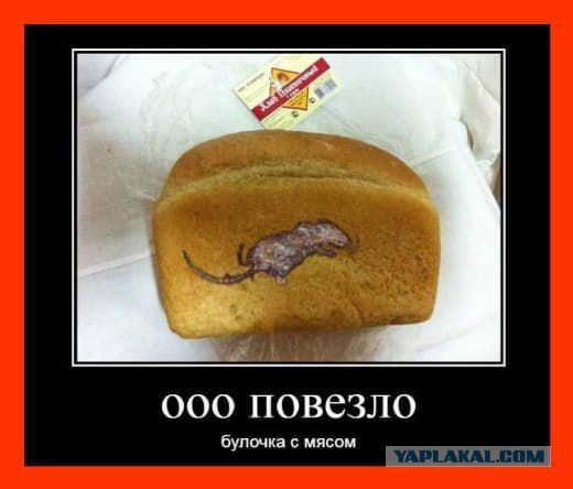 Узбекский хлеб