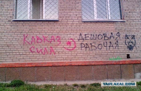 Дагестанская драка