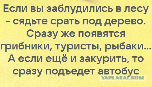 Представте, потерялись вы в лесу и слышите такие звуки