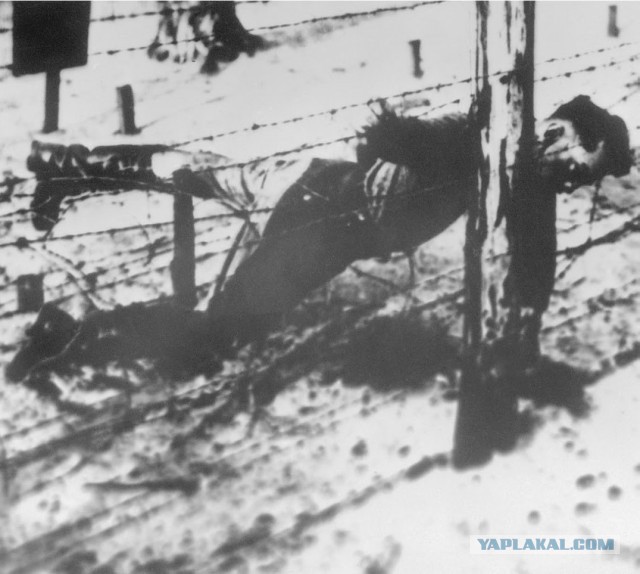 Отец: Иди и сражайся!