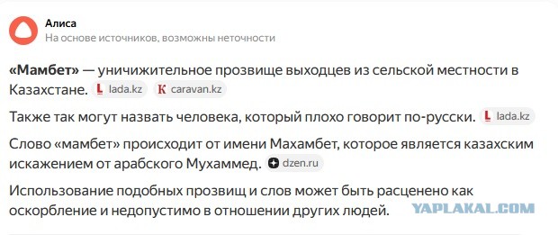 Казахстанке грозит до 7 лет за слово «мамбет», на девушку завели уголовное дело