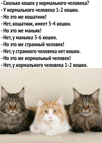 Упакованы, как игрушки под ёлочкой