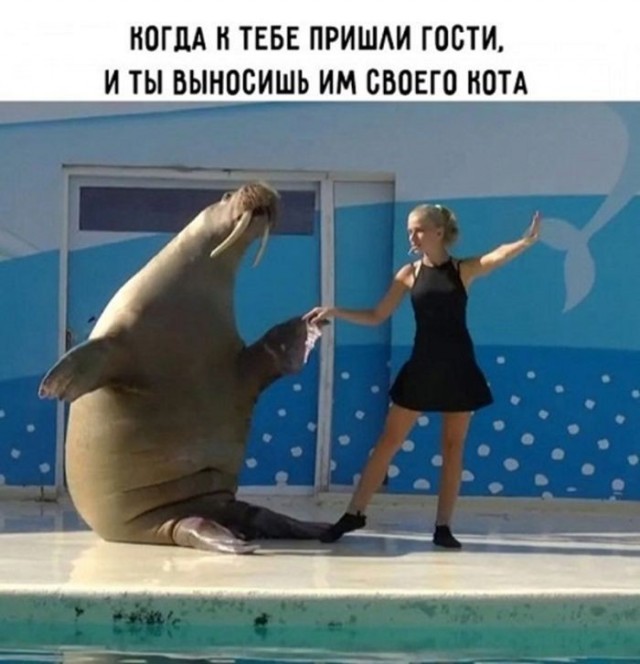 Картинки для деградации 223 (разной степени свежести)