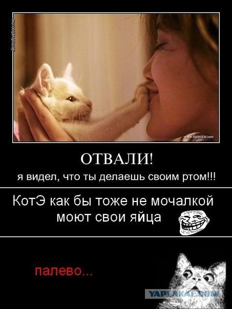 Целуй!