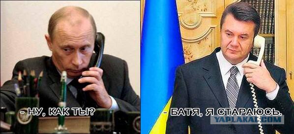 Вызов БАНДЕРЛОГАМ