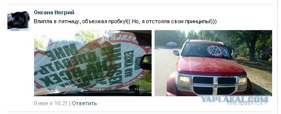 СтопХамСПб - Крутые ребята