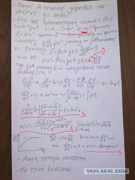 Не тупи, сынок!