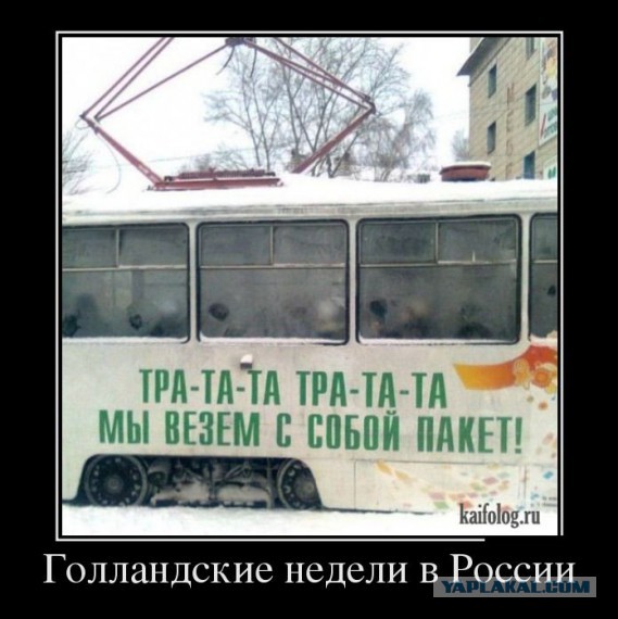Шнуровка 80-го уровня
