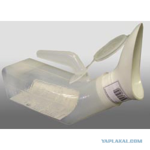 Мангуст отбился от нападения четырех львов в Кении