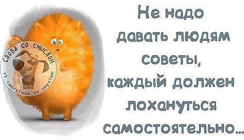 Смешные картинки