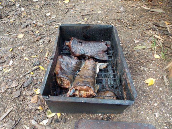 14 дней на Кольском полуострове