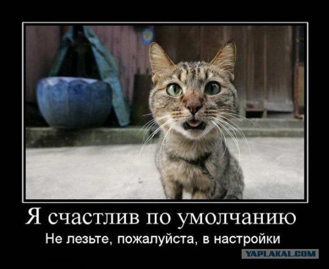 На зарядку становись