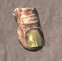 В Египте найден палец великана