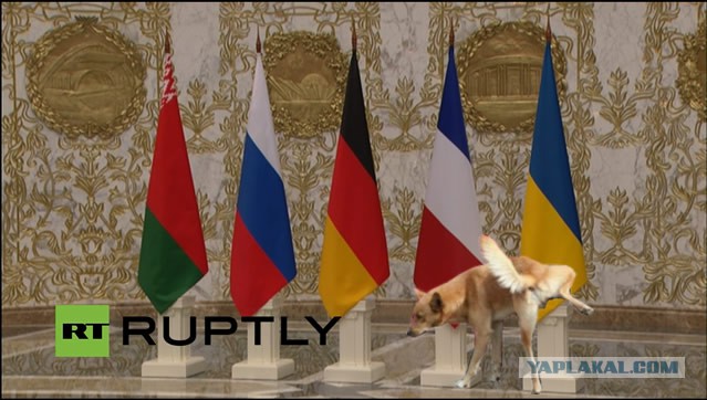 Флаг Украины упал