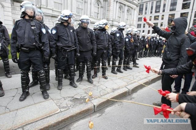 Рыбалка на копа