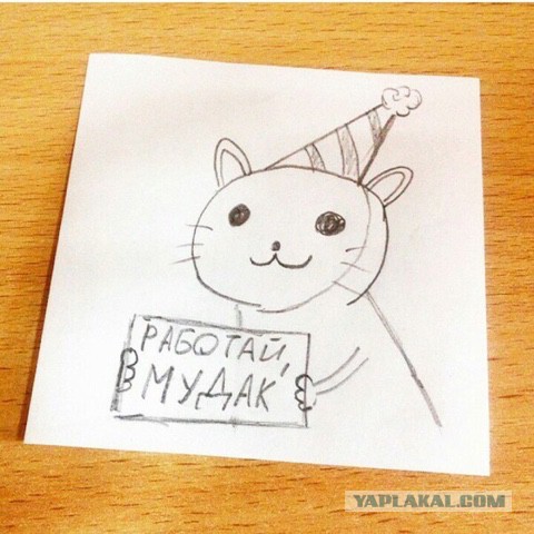 Котовторнику посвящается.