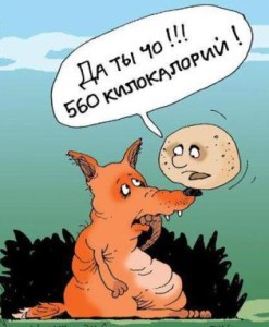 Мифы об алкоголе