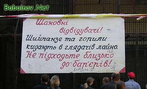 ОБЪЯВЛЕНИЯ. На стенах, в газетах, афиши.